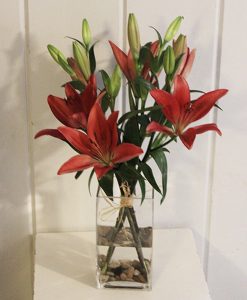 PURE & SIMPLE - SEASONAL STEMS IN GLASS BRICK VASE